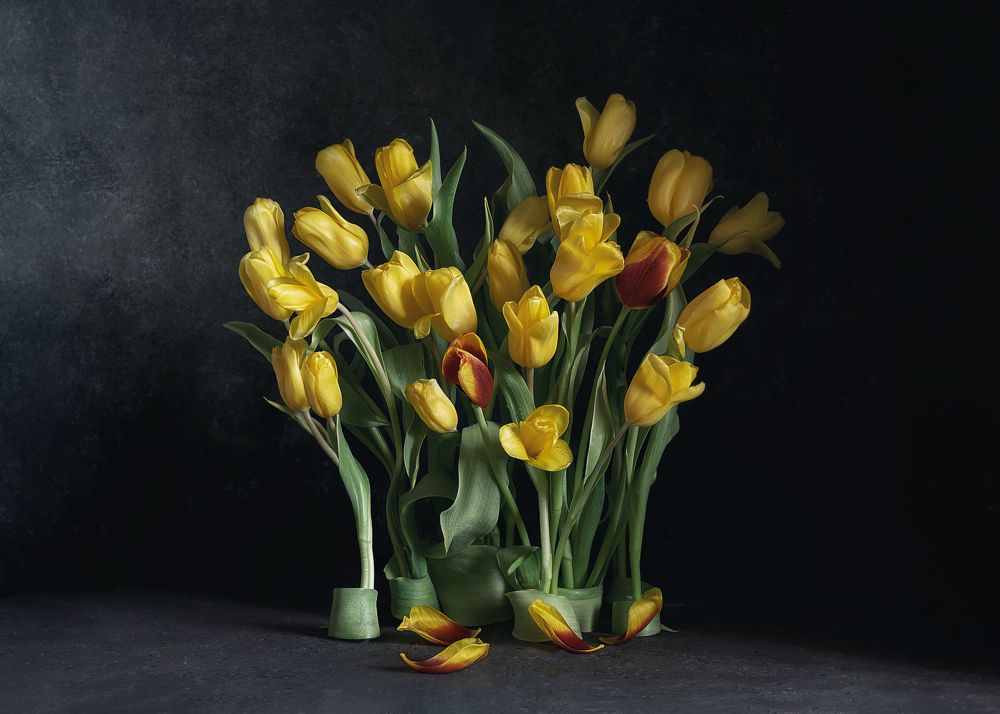 Фотография автора Виктория Шаманова