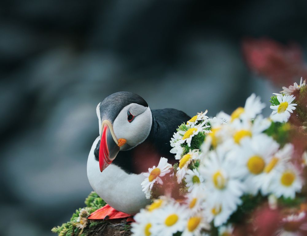 Photograph by Ruzena Bendova