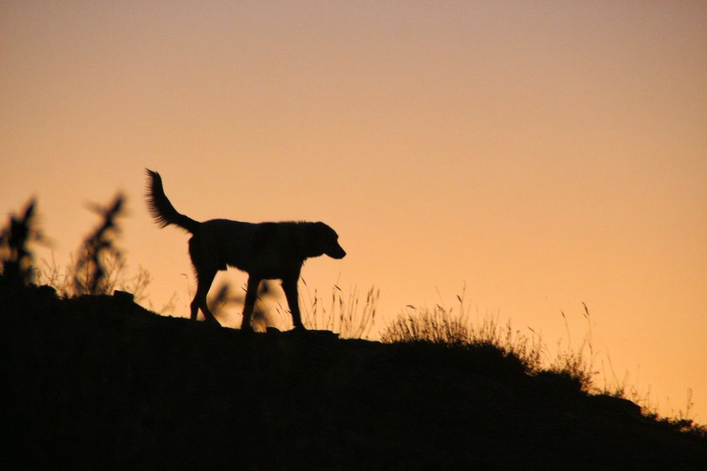 Photograph by Baha Ghaderi