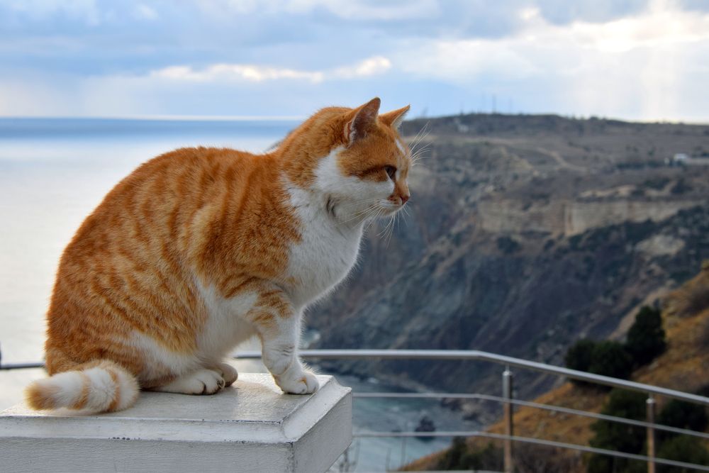 Photograph by Ирина Ри