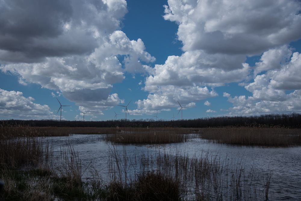 Фотография автора Viktorija Karasu