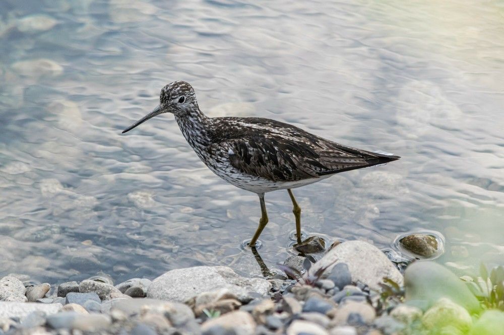 Photograph by Олег Яковлев