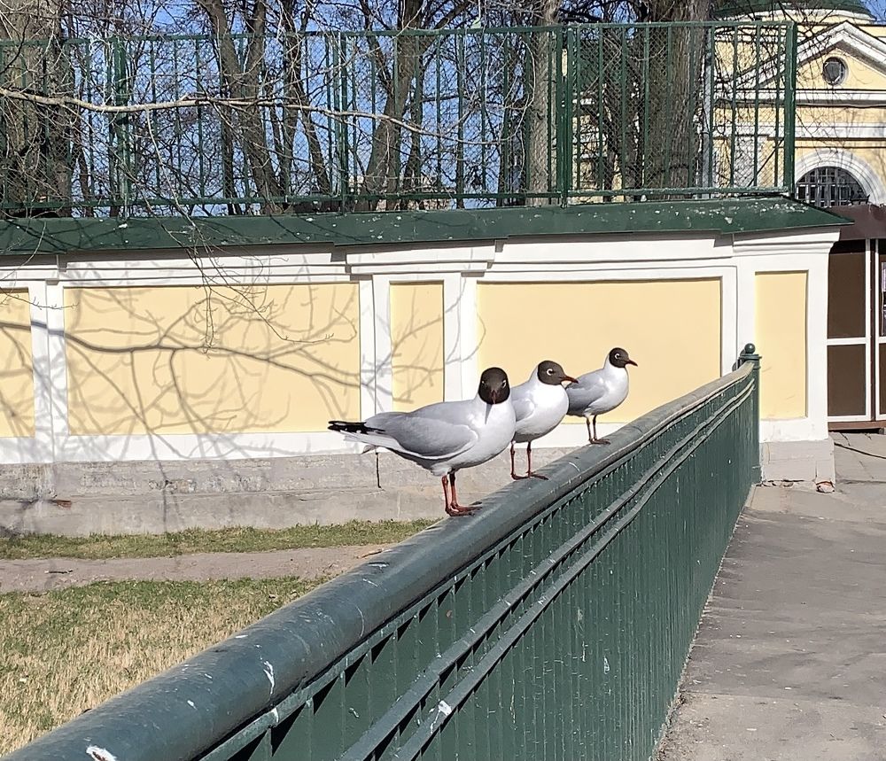Photograph by Евгения