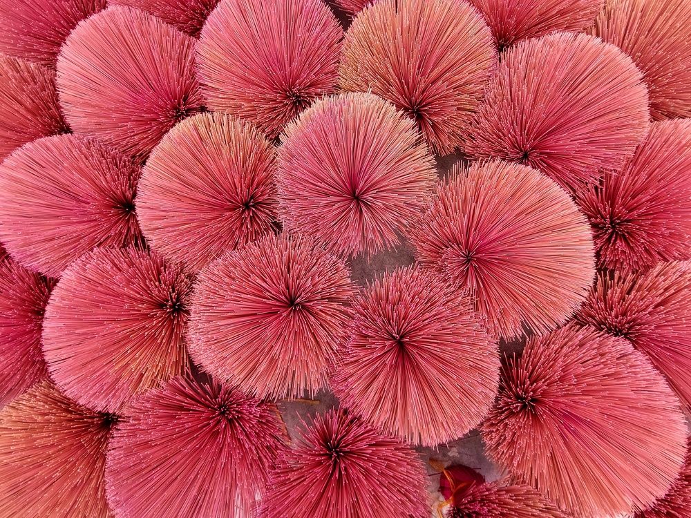 Photograph by Khổng Giang