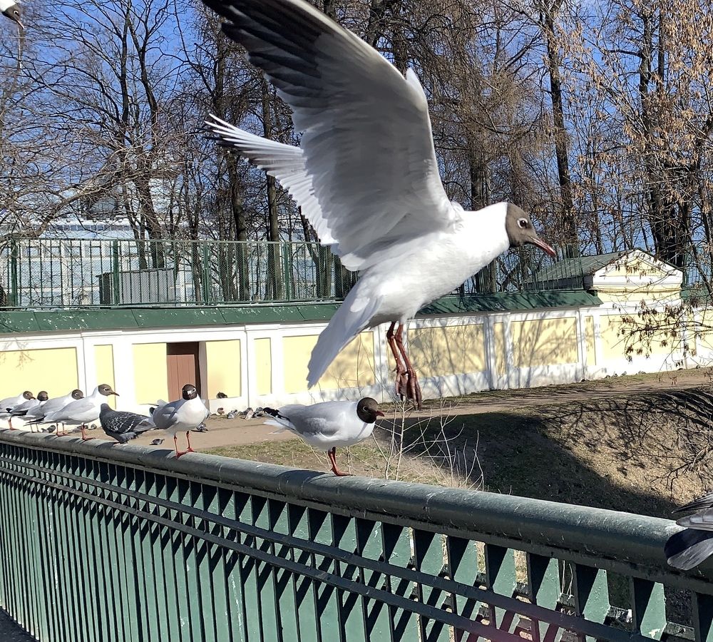 Photograph by Евгения