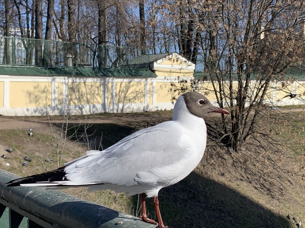 Photograph by Евгения