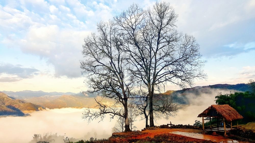 Photograph by Khổng Giang