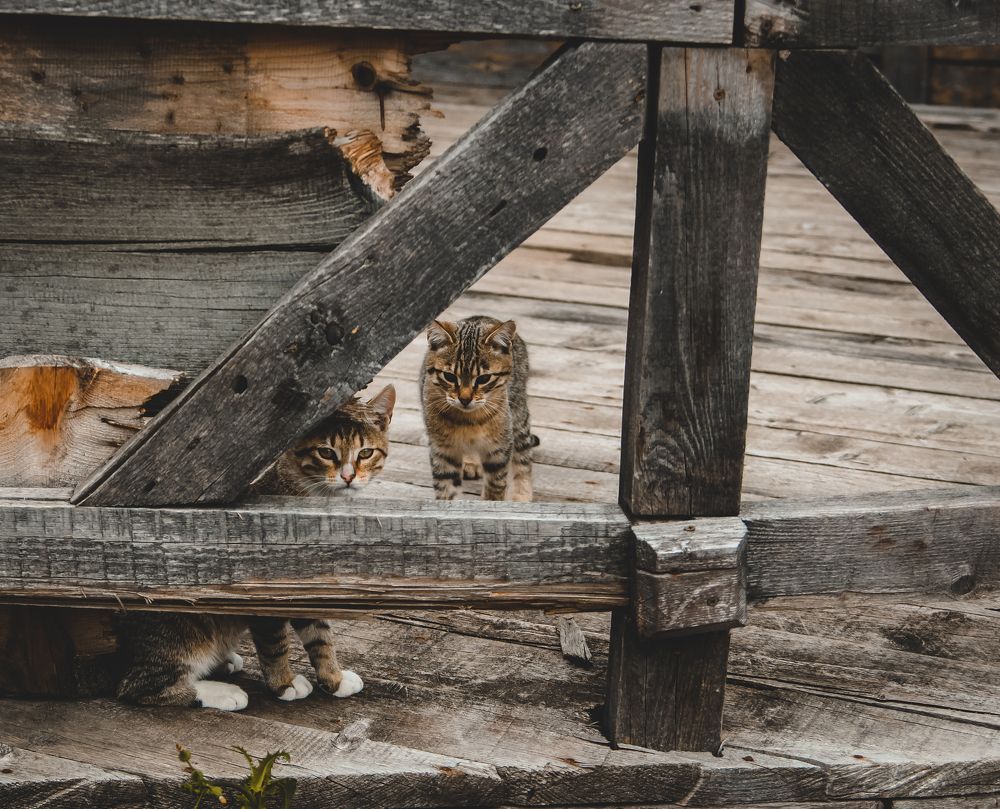 Photograph by Евгения