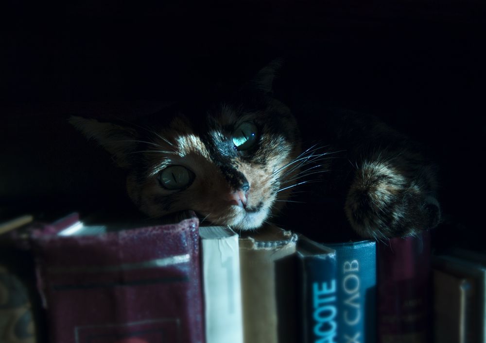 Photograph by Tatevik Tananyan