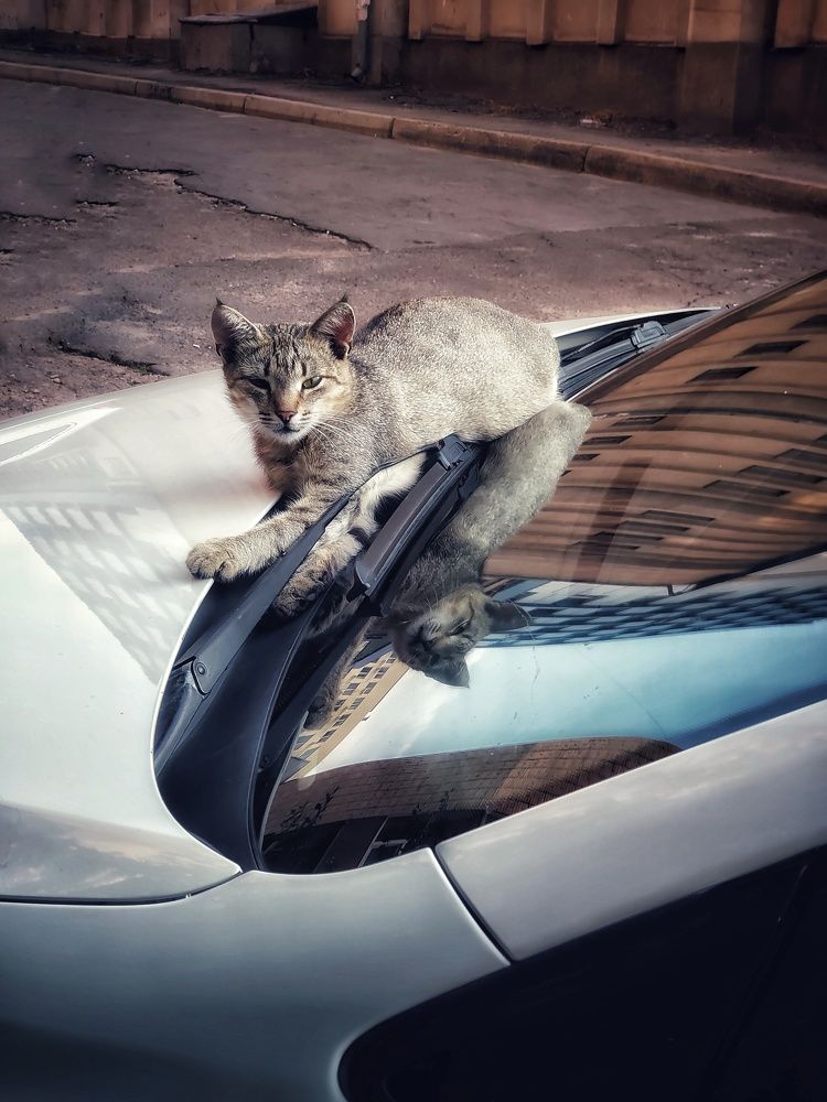 Фотография автора Ольга Игуменова