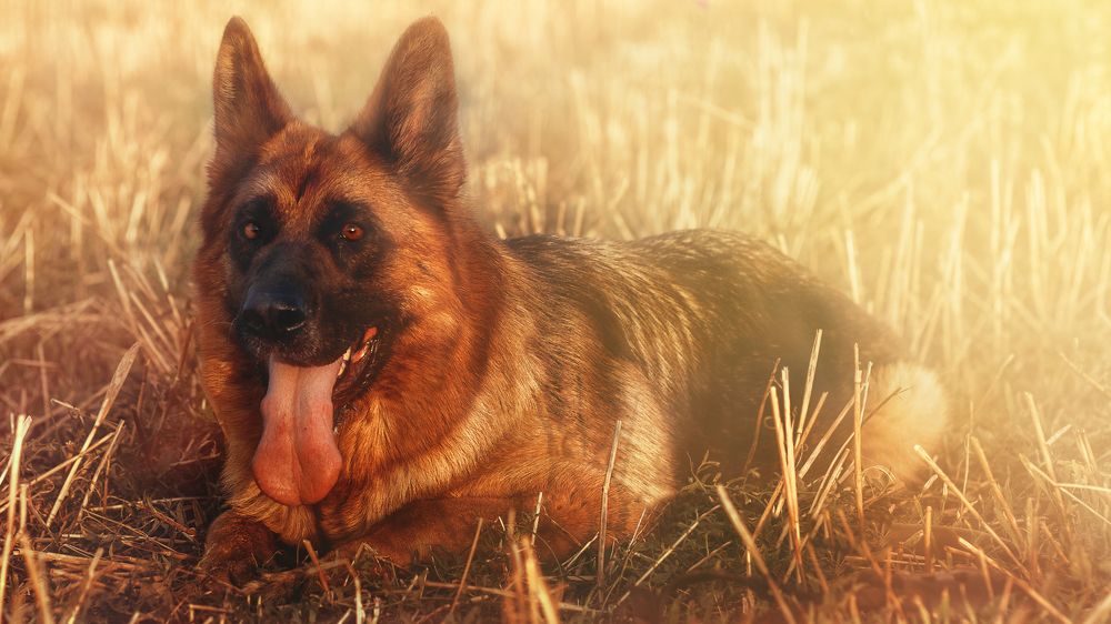 Photograph by Виктор Холодов