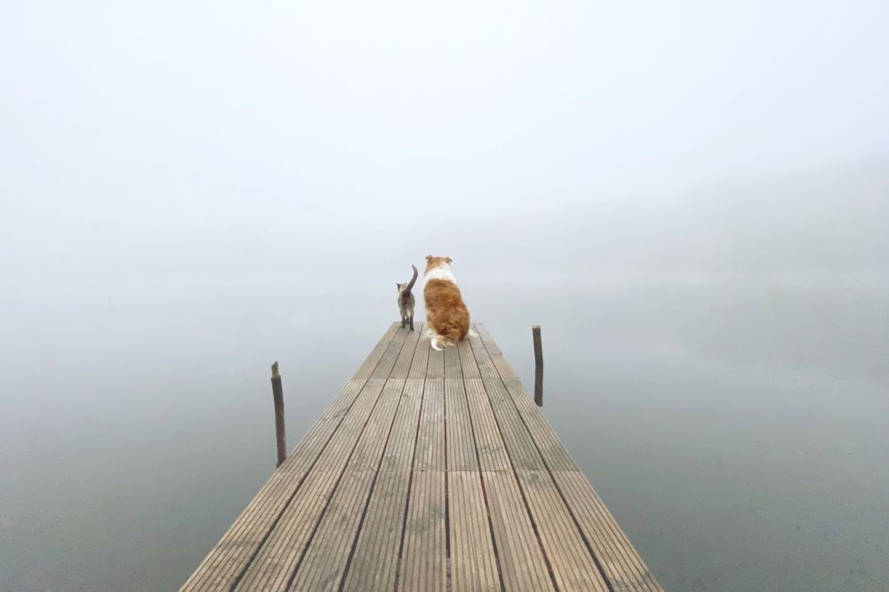 Photograph by LYUDMYLA POKRYSHEN