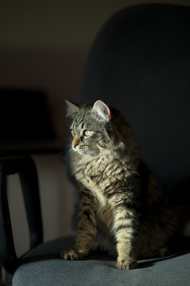 Photograph by Татьяна Бушук