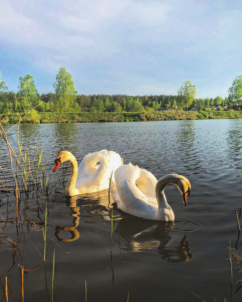 Photograph by Лариса Акинчиц