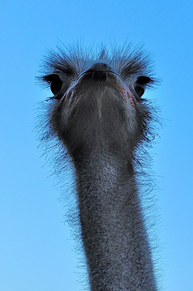 Photograph by Евгений