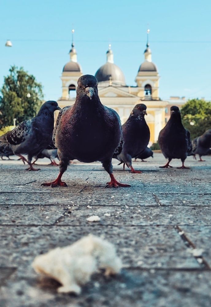 Вдох - выдох