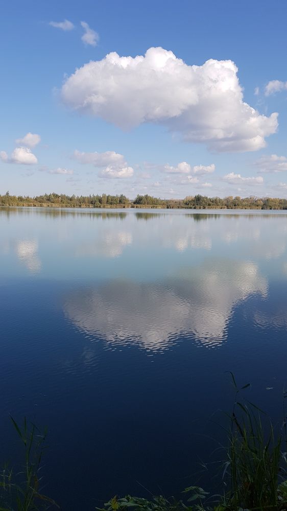 Photograph by Дарья Агапова