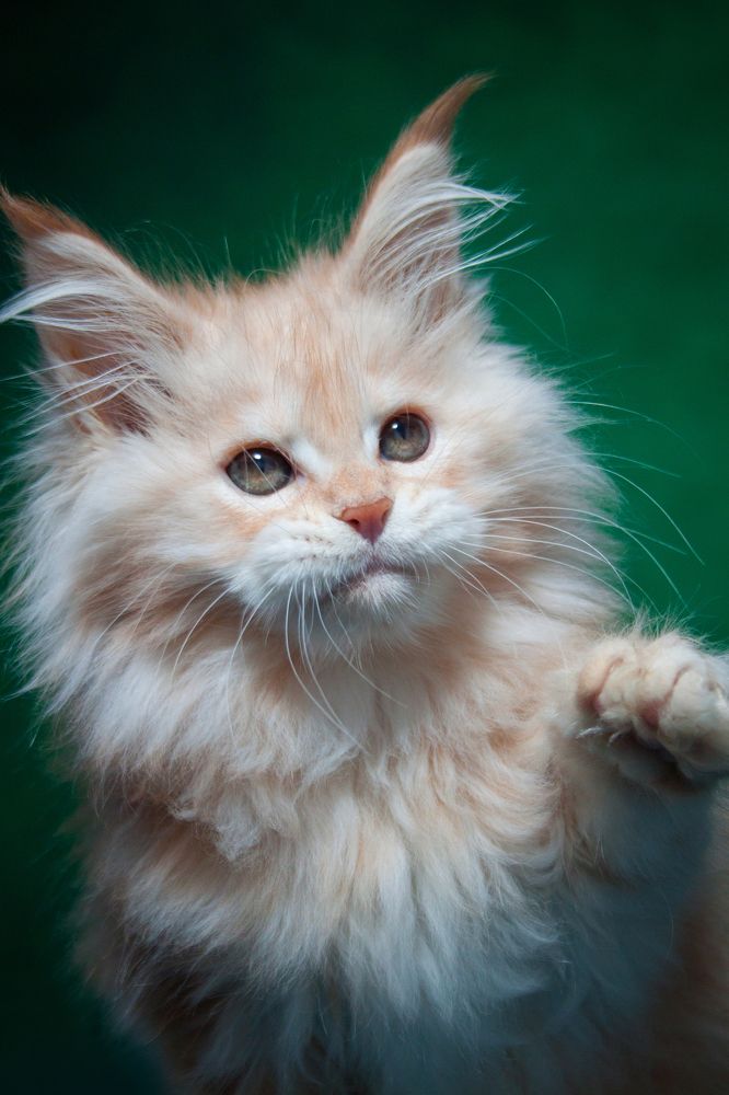 Photograph by Инга Стрижаченко