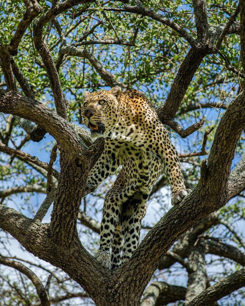 Photograph by Sangeetha Damodaran