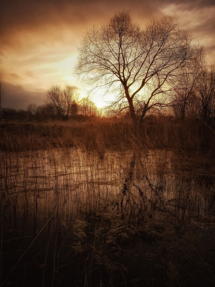 Photograph by Михаил Логвиненко