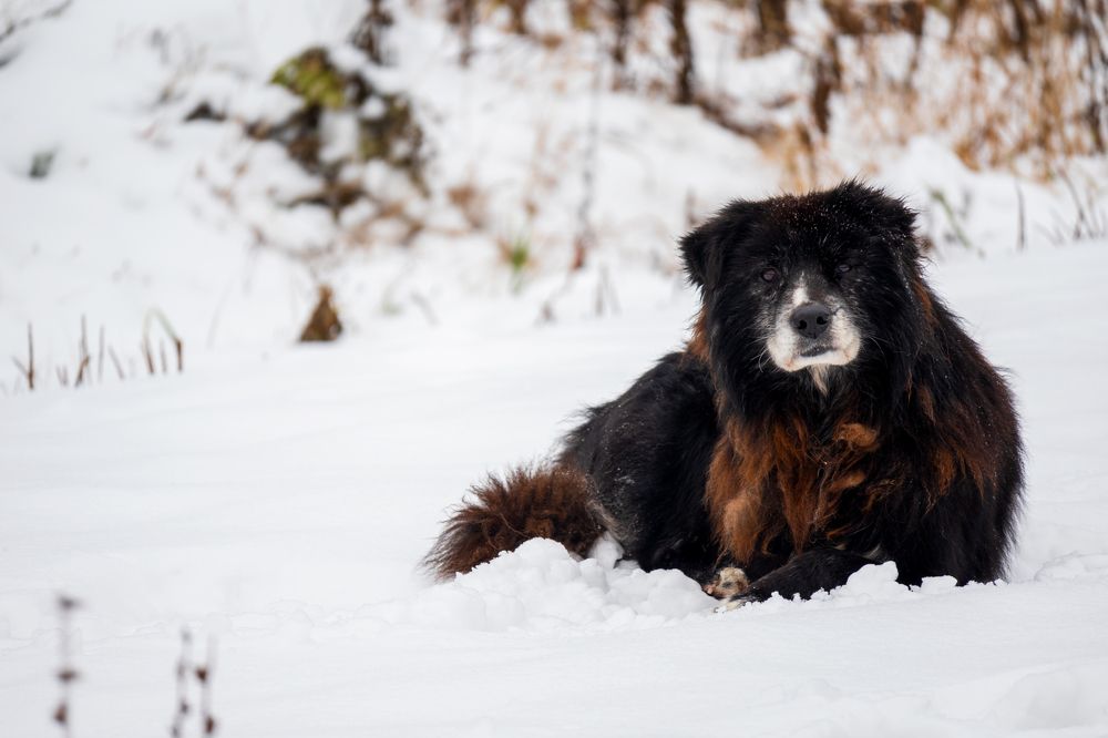 Photograph by Руслан Яроцкий