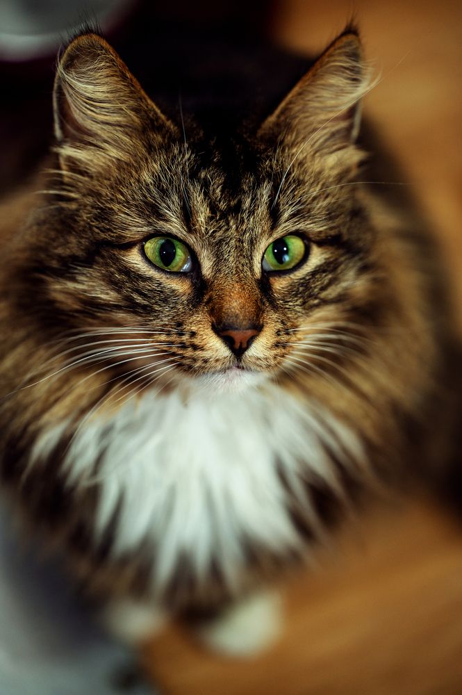 Photograph by Руслан Яроцкий