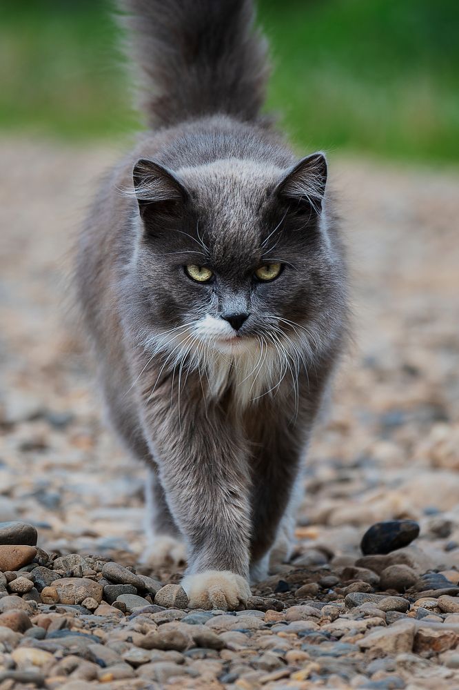 Photograph by Руслан Яроцкий