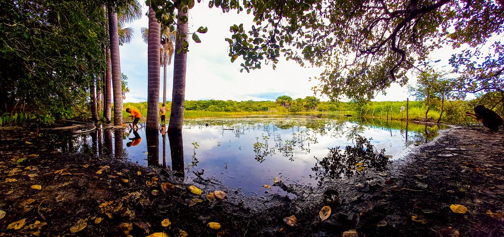 Photograph by Gerson Ricardo Costa Farias