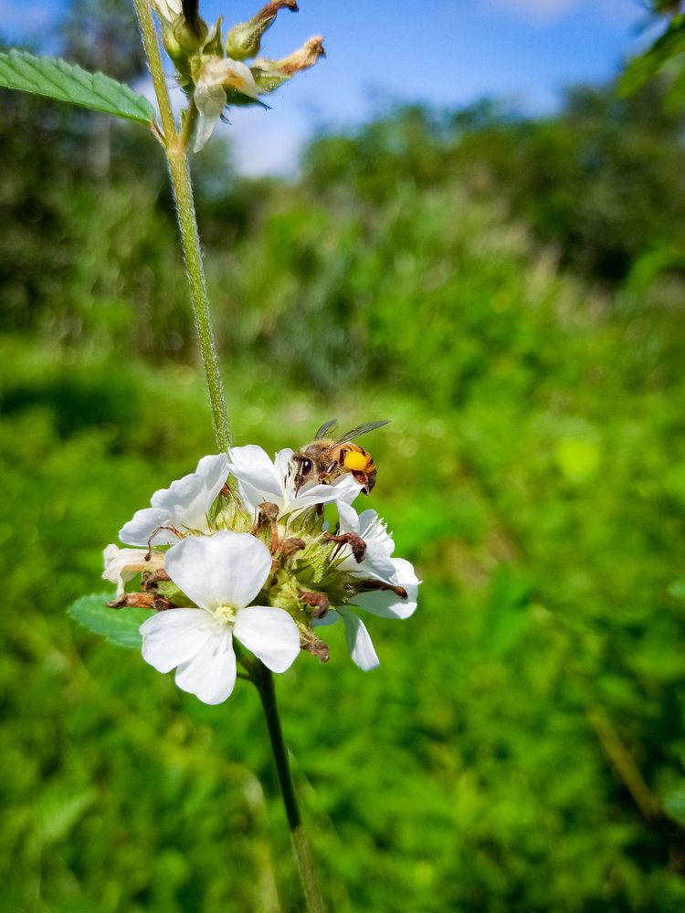 Photograph by Gerson Ricardo Costa Farias