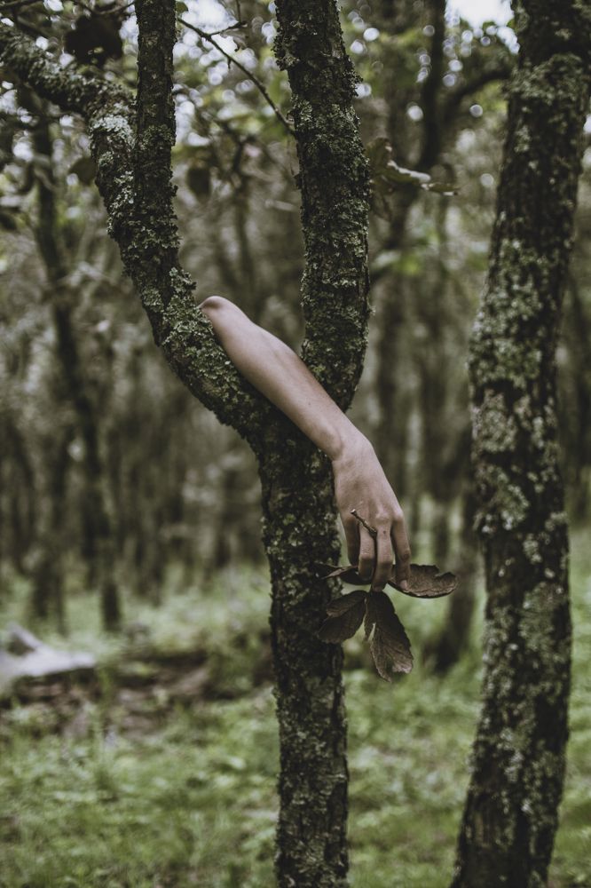 Photograph by hugo armando beltran sojo