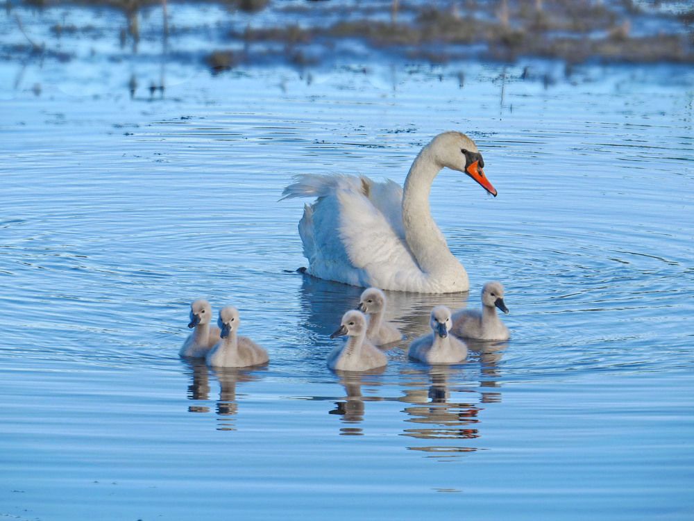 Photograph by Нина Будникова