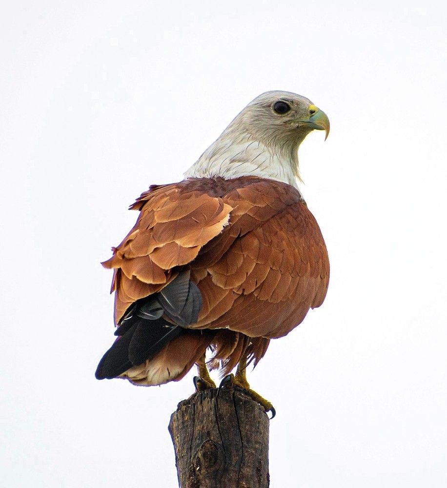 Photograph by RehanaAlpha