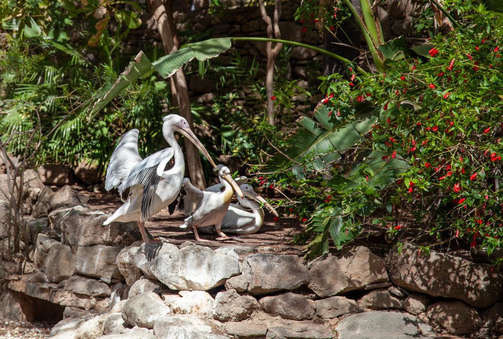 Photograph by Raimonds Zarins