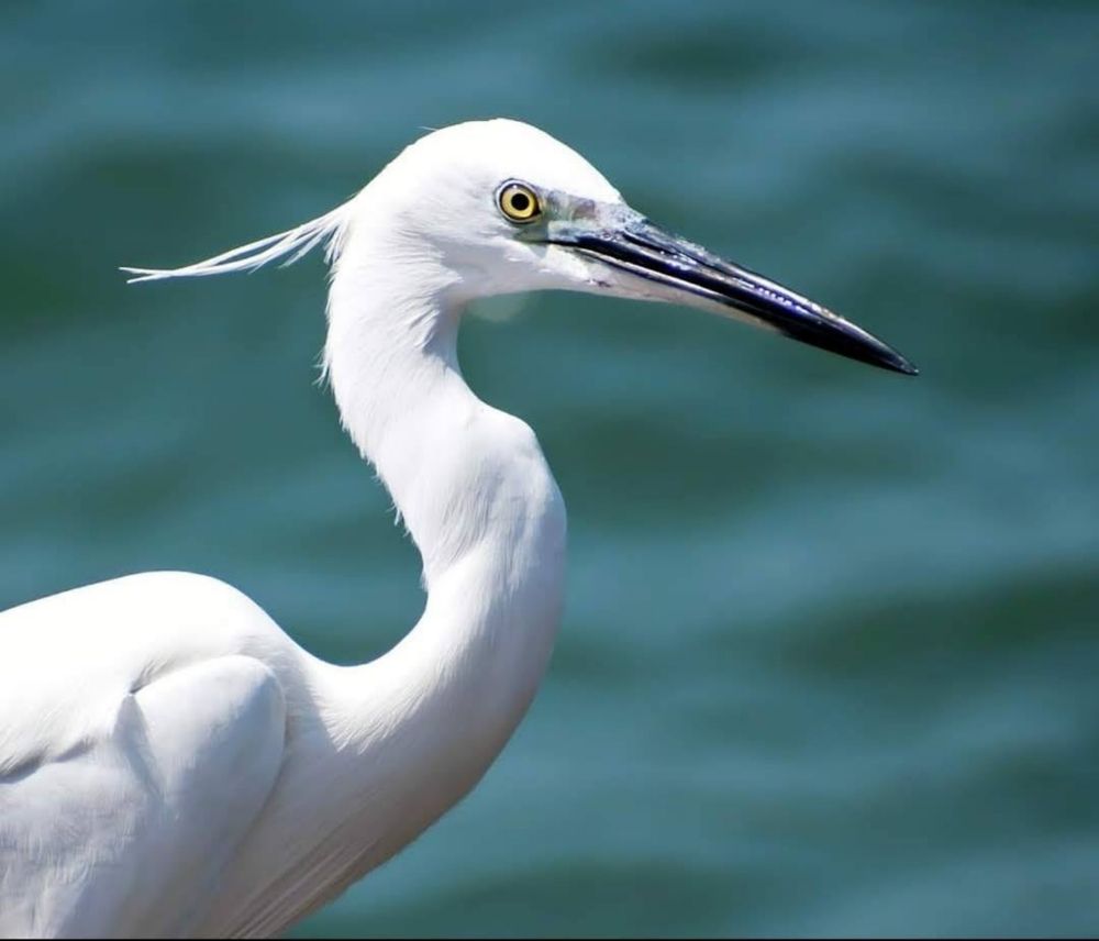 Photograph by RehanaAlpha