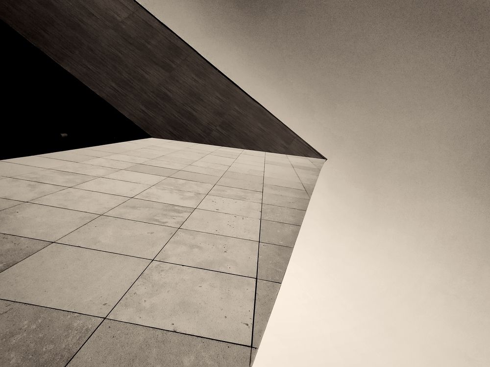 Photograph by Mohamed Kaouche