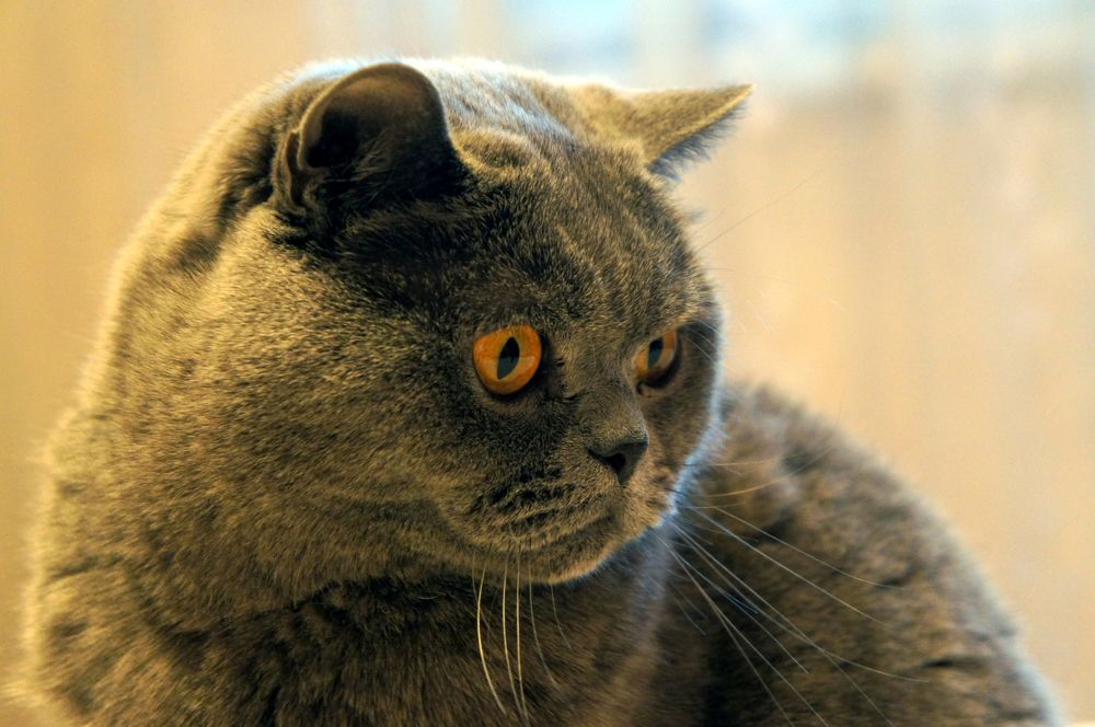 Photograph by Юля Хатыпова