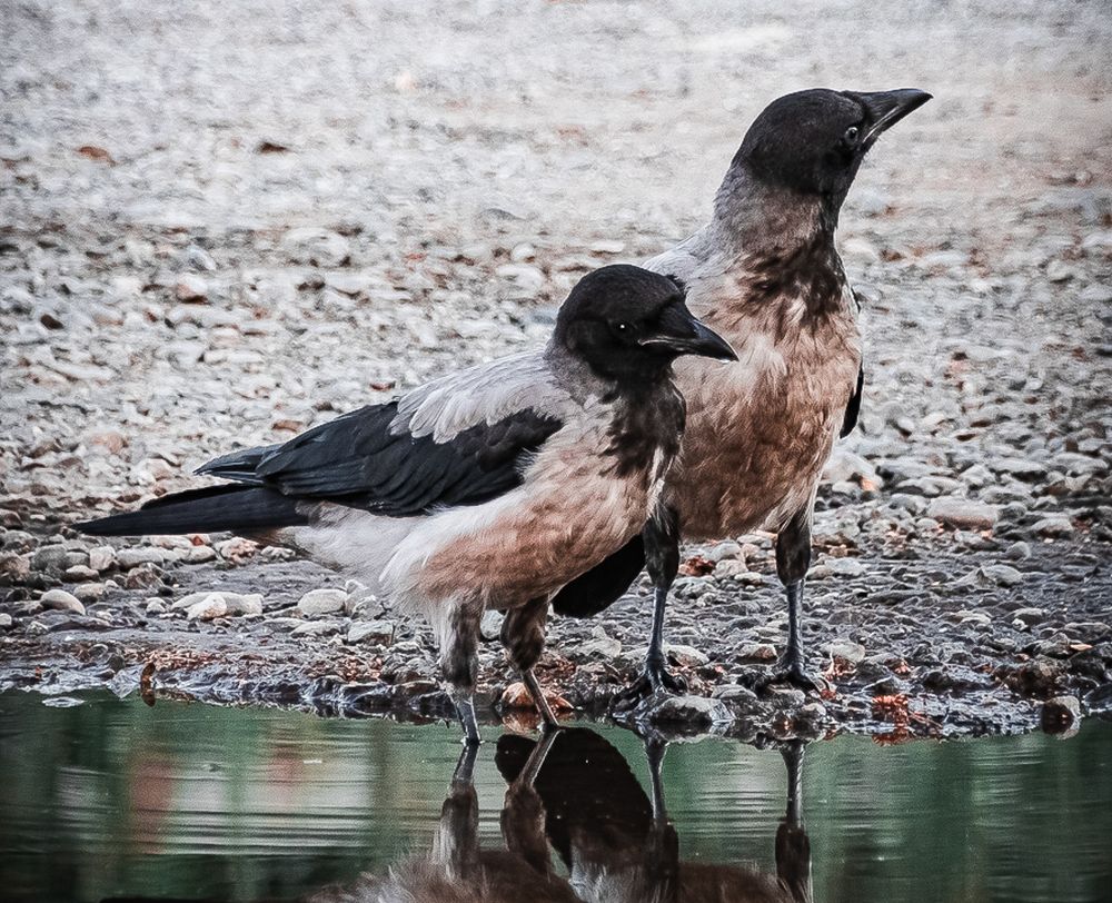 Photograph by Василий Лазарев