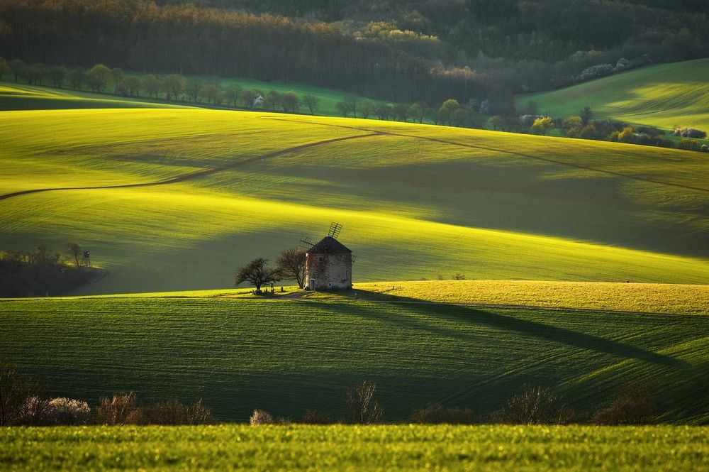 Photograph by Milan Uhrin