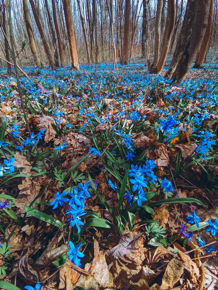 Photograph by Александр Плисик