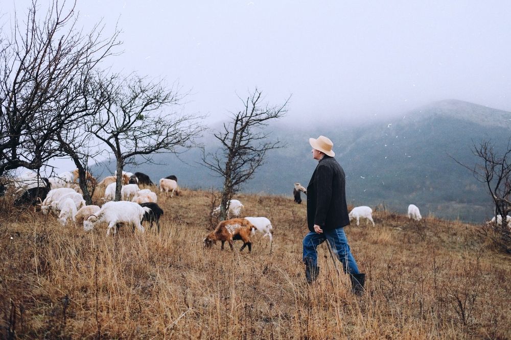 Photograph by Анна