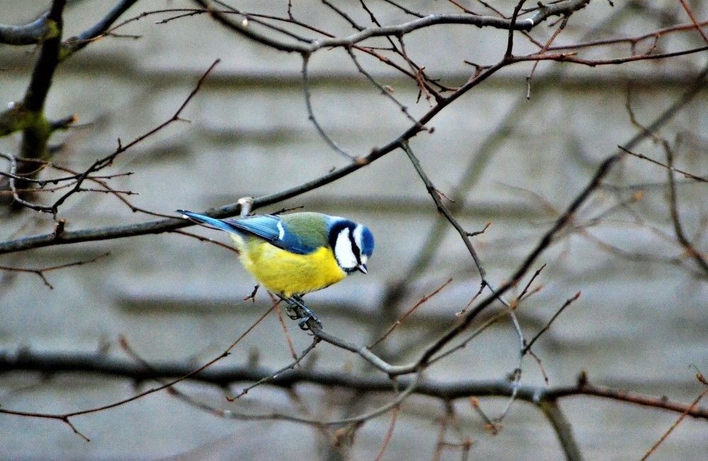 Photograph by Zdeňka Hudcová