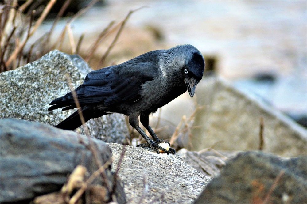 Photograph by Zdeňka Hudcová