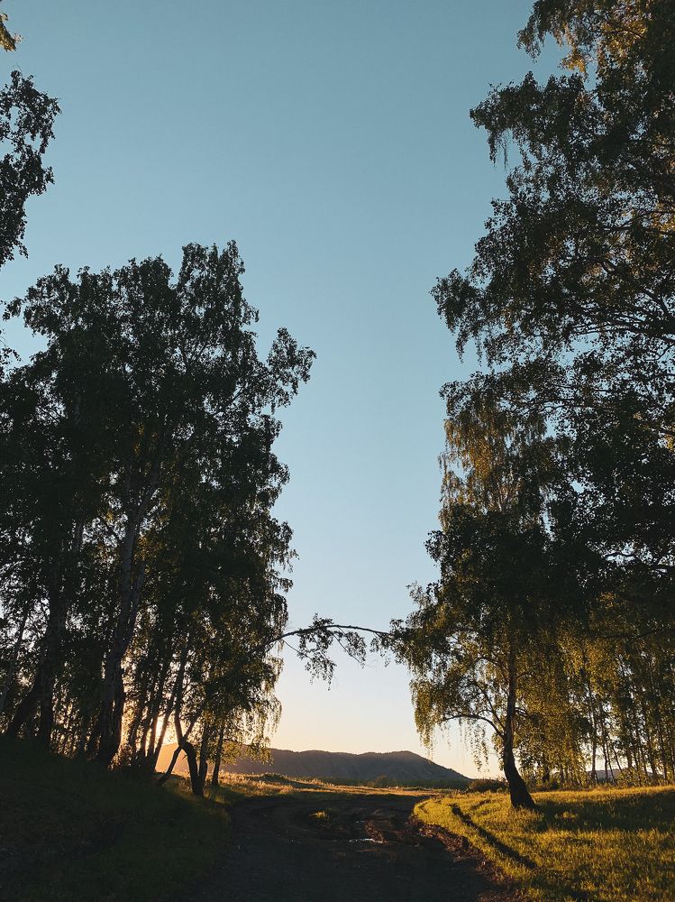 Photograph by Сергей