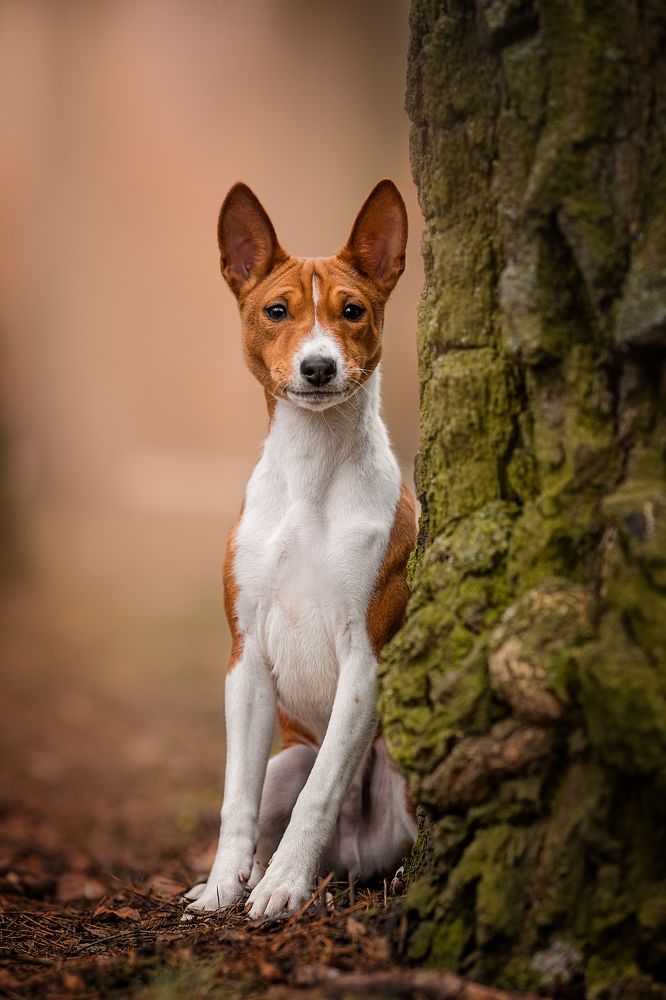 Photograph by Мария Мадзик