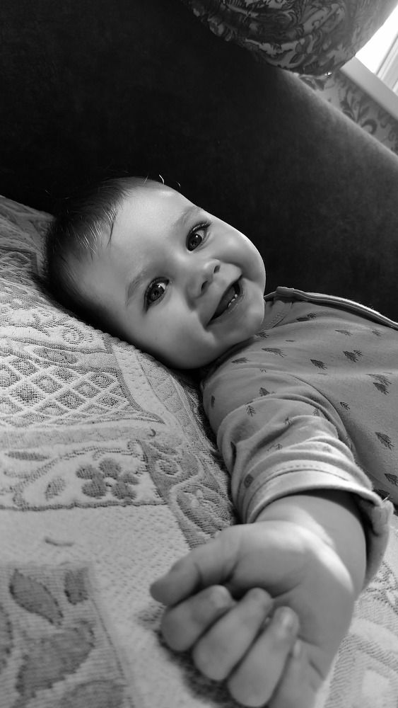 Фотография автора Светлана Волынская