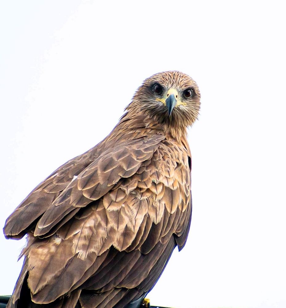 Photograph by RehanaAlpha