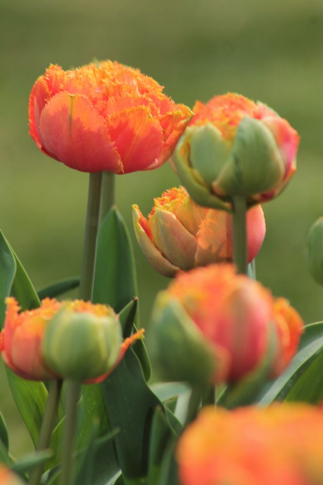 Photograph by Диана Ульянцева