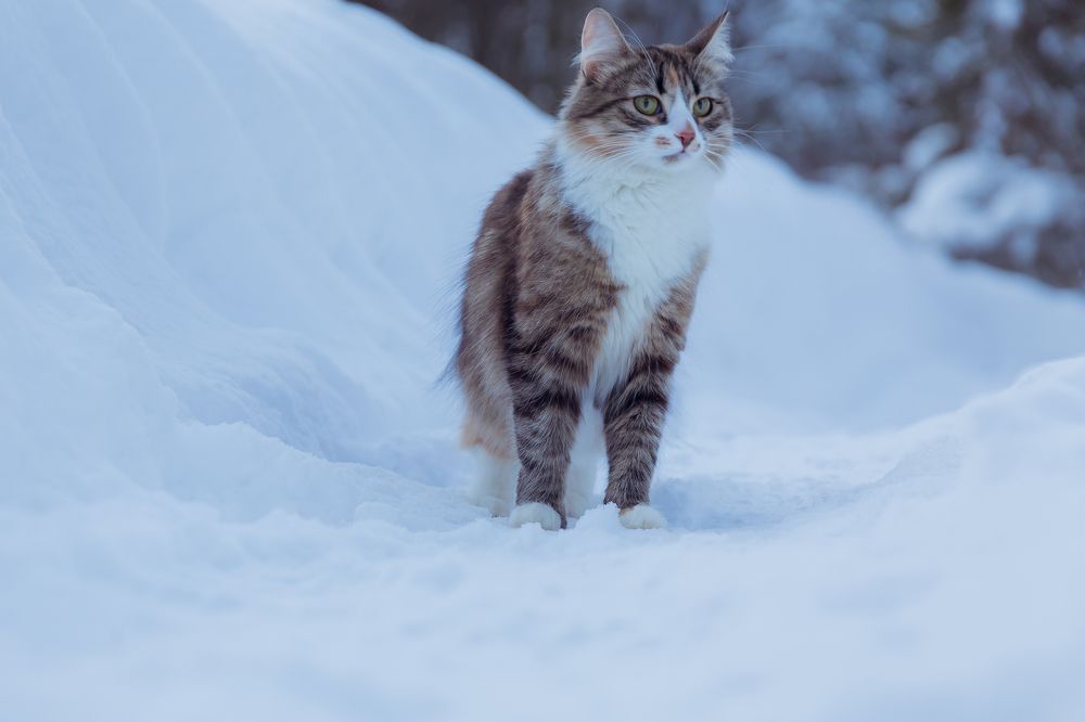 Photograph by Инна Юдина