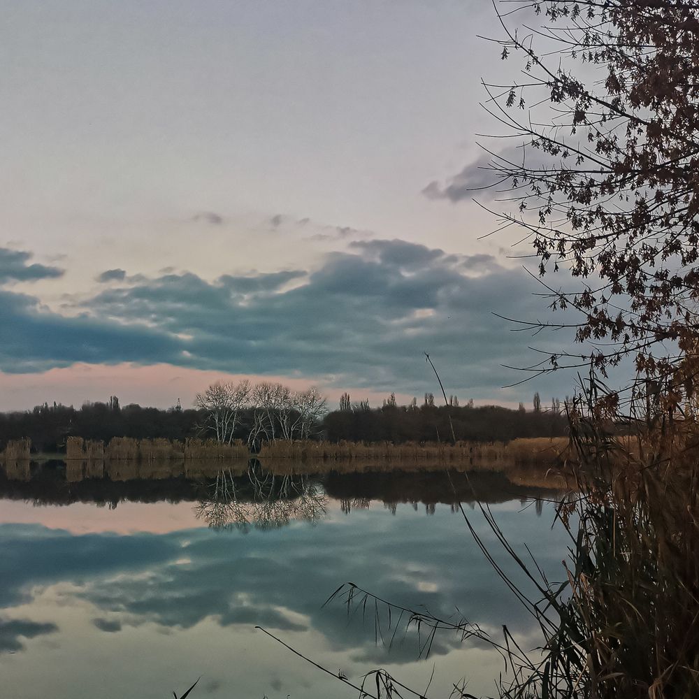 Photograph by Анастасия Молчанова