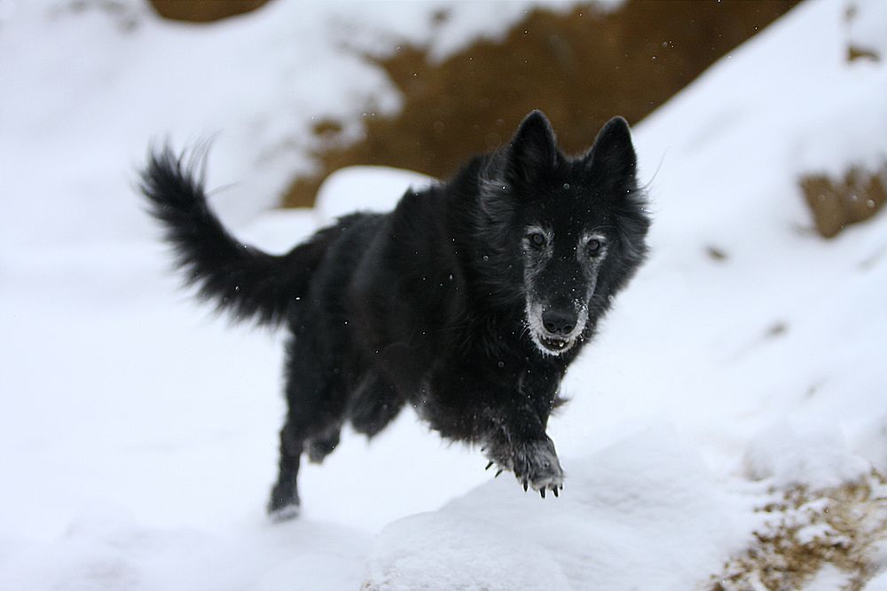 Фотография автора Надежда Лисицына